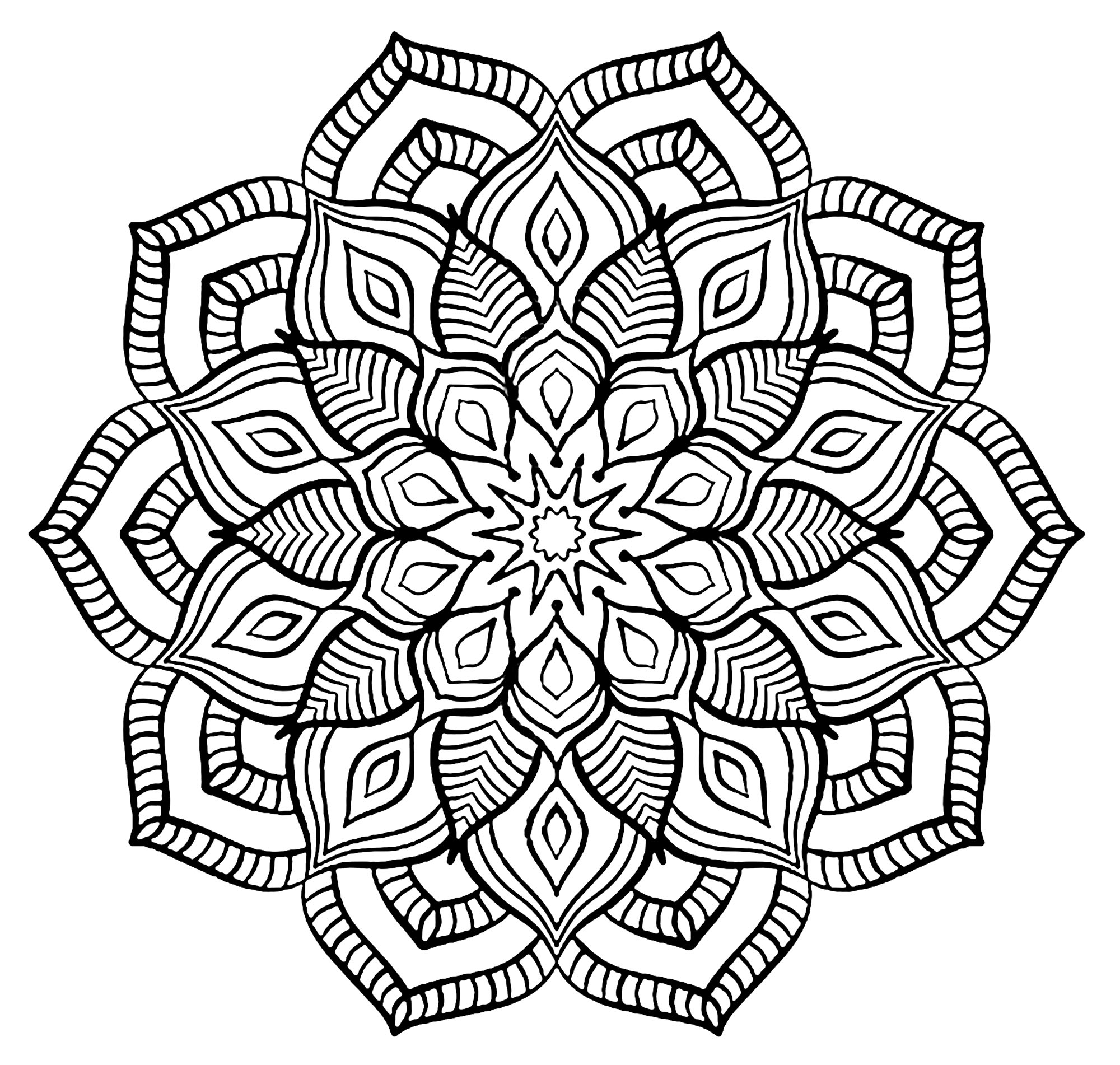 Uma mandala floral simples com traços de espessura variável. As diferentes pétalas e elementos têm níveis de pormenor completamente diferentes.