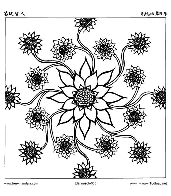 Página original para colorir com flores (Mandalas temáticas : <b>Flores e vegetação</b>)