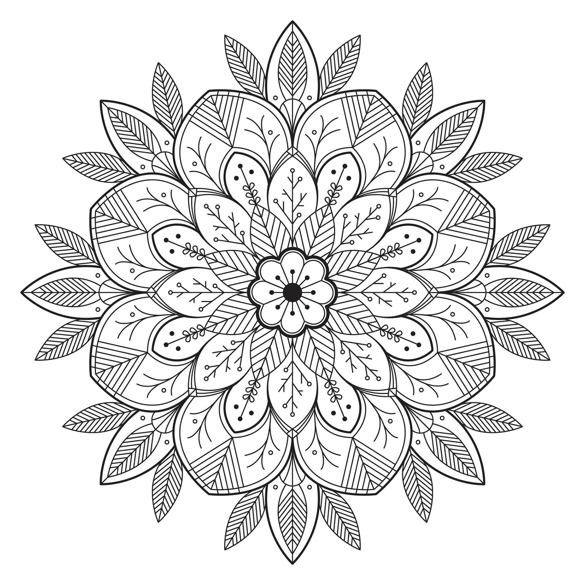 Mandala com flores e folhas realistas. Incorpore as cores que preferir! É uma das preferidas dos membros do sítio, segundo os nossos contadores! Mandala com flores e folhas realistas. Incorpore as cores que preferir! É uma das preferidas dos membros do sítio, segundo os nossos contadores!