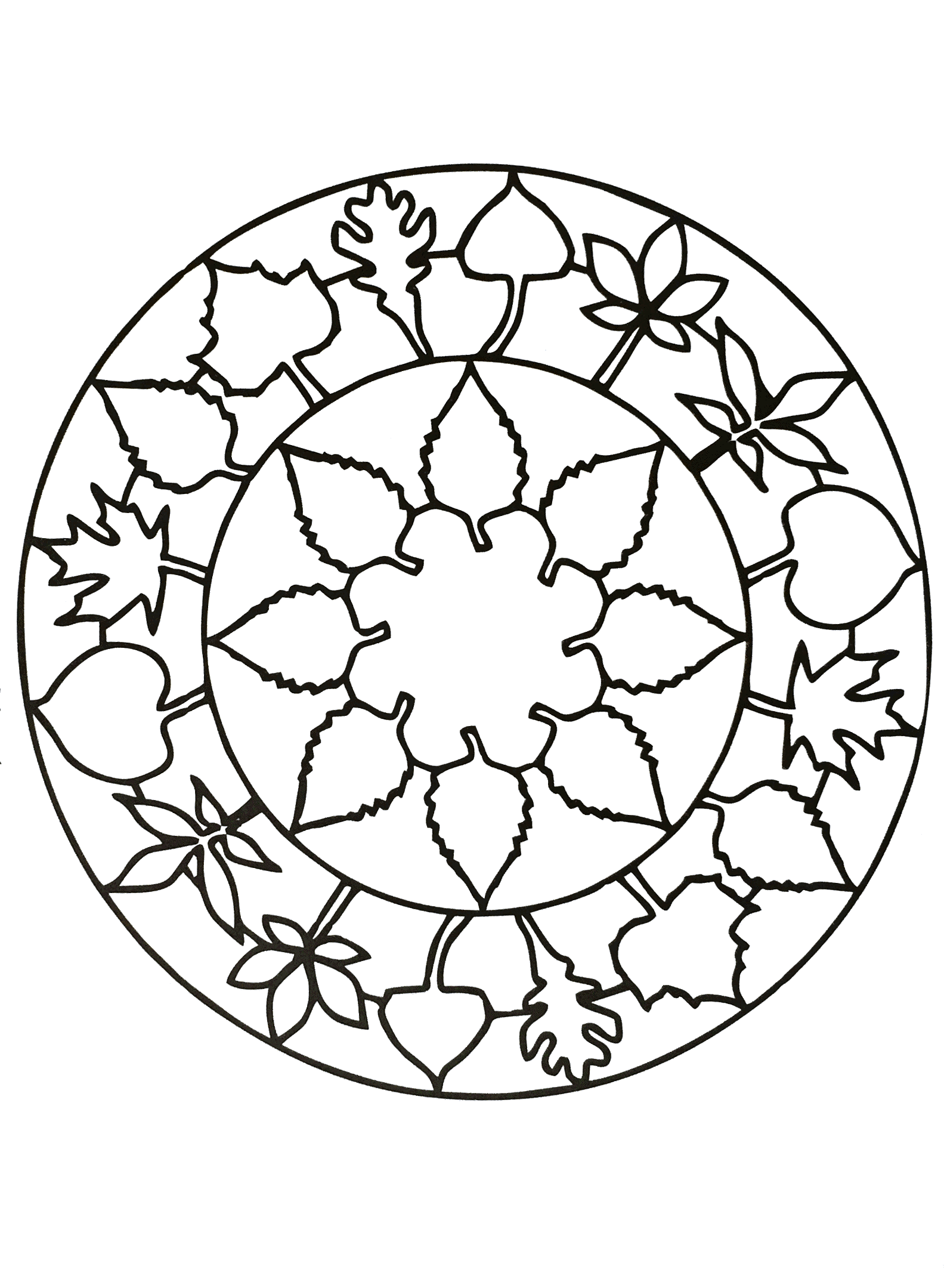 Mandala simples para imprimir (Mandalas temáticas : Flores e vegetação)