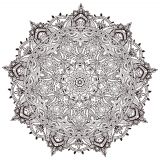 Mandala de plantas ultra-detalhada e meticulosa (Mandalas temáticas : Flores e vegetação)