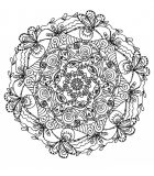 Mandala natural e elegante (Mandalas temáticas : Flores e vegetação)
